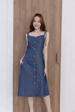 Loli Stripe Denim Dress